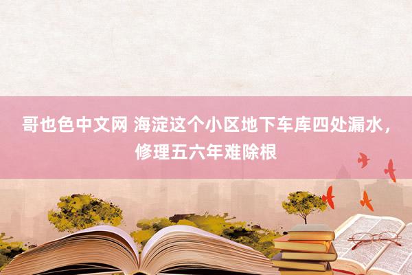 哥也色中文网 海淀这个小区地下车库四处漏水，修理五六年难除根