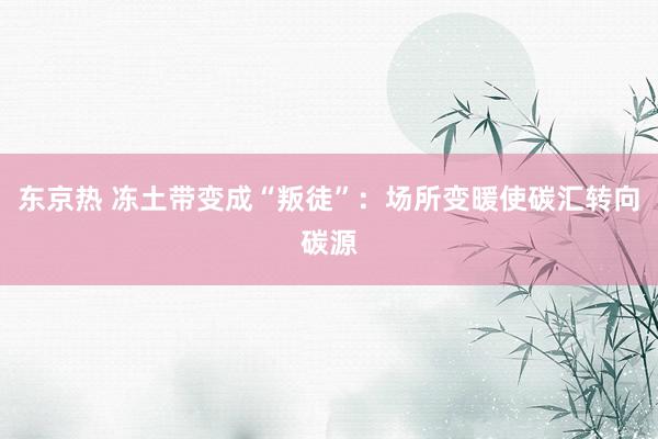 东京热 冻土带变成“叛徒”：场所变暖使碳汇转向碳源