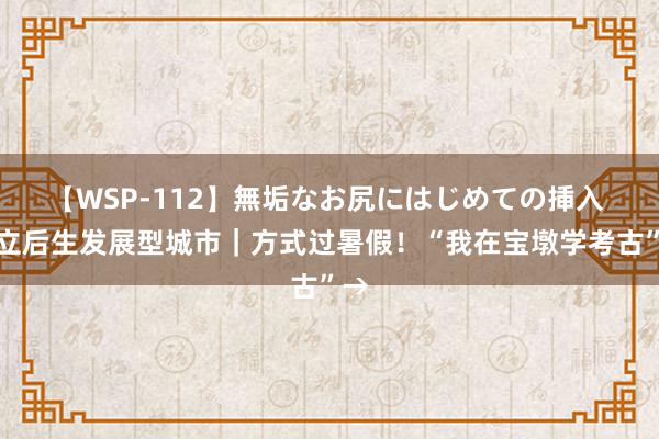 【WSP-112】無垢なお尻にはじめての挿入 建立后生发展型城市｜方式过暑假！“我在宝墩学考古”→