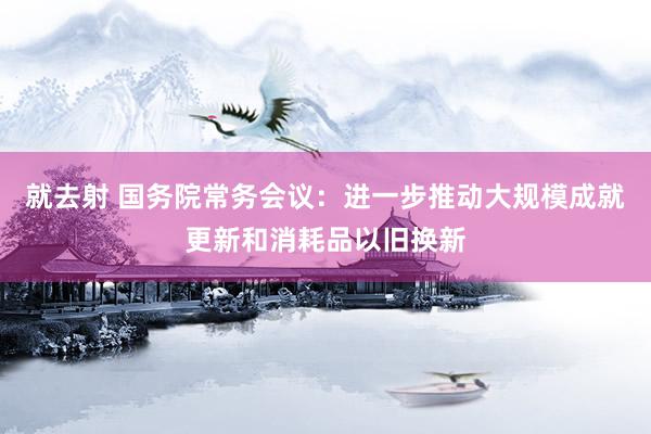 就去射 国务院常务会议：进一步推动大规模成就更新和消耗品以旧换新