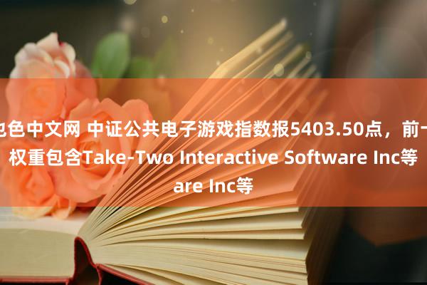 哥也色中文网 中证公共电子游戏指数报5403.50点，前十大权重包含Take-Two Interactive Software Inc等