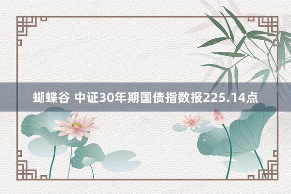 蝴蝶谷 中证30年期国债指数报225.14点