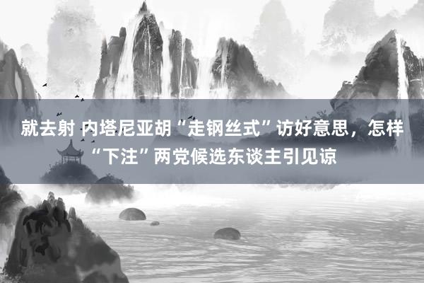 就去射 内塔尼亚胡“走钢丝式”访好意思，怎样“下注”两党候选东谈主引见谅