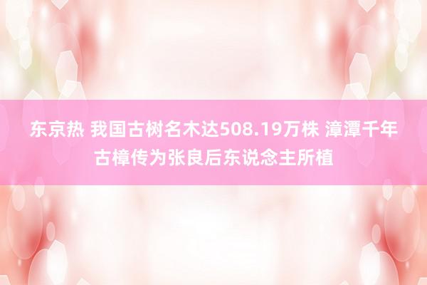 东京热 我国古树名木达508.19万株 漳潭千年古樟传为张良后东说念主所植