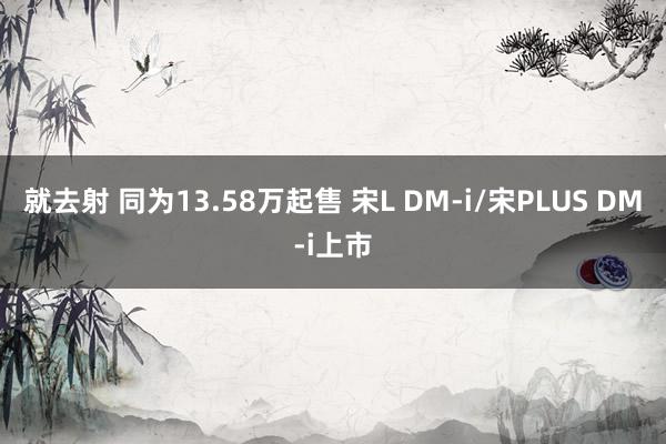 就去射 同为13.58万起售 宋L DM-i/宋PLUS DM-i上市