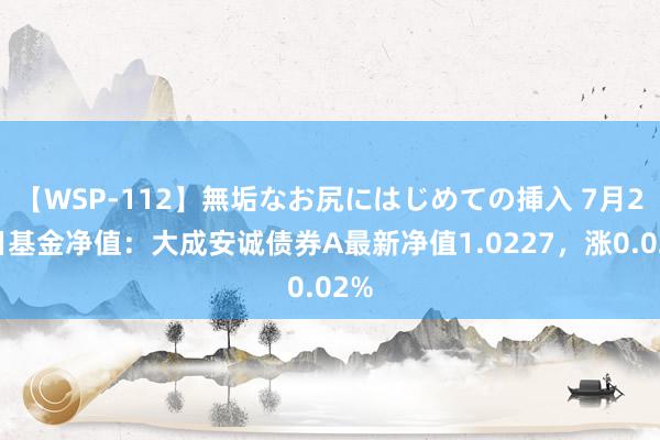 【WSP-112】無垢なお尻にはじめての挿入 7月26日基金净值：大成安诚债券A最新净值1.0227，涨0.02%