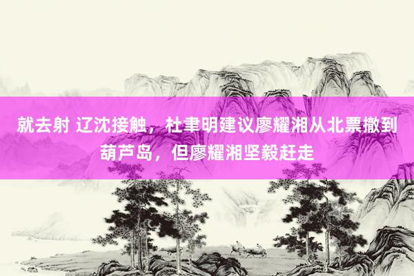 就去射 辽沈接触，杜聿明建议廖耀湘从北票撤到葫芦岛，但廖耀湘坚毅赶走