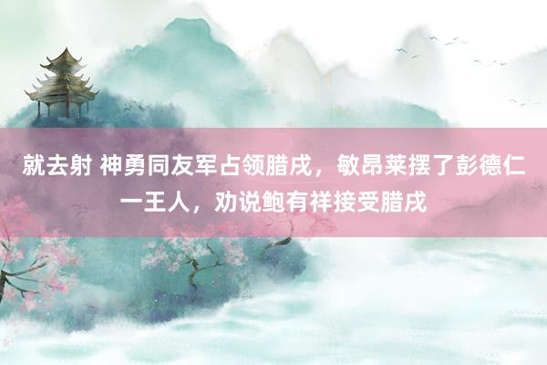 就去射 神勇同友军占领腊戌，敏昂莱摆了彭德仁一王人，劝说鲍有祥接受腊戌