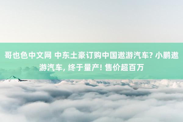 哥也色中文网 中东土豪订购中国遨游汽车? 小鹏遨游汽车, 终于量产! 售价超百万