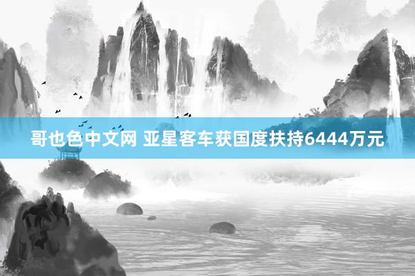 哥也色中文网 亚星客车获国度扶持6444万元
