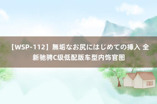 【WSP-112】無垢なお尻にはじめての挿入 全新驰骋C级低配版车型内饰官图