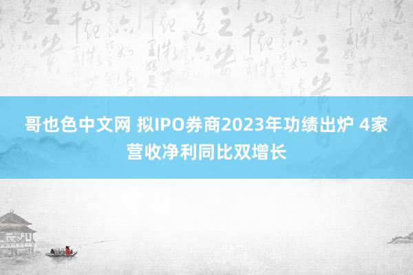 哥也色中文网 拟IPO券商2023年功绩出炉 4家营收净利同比双增长