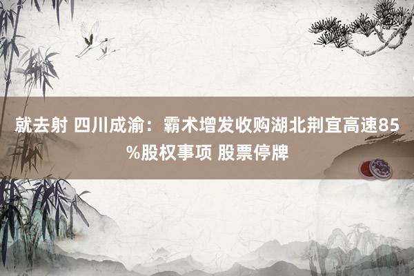 就去射 四川成渝：霸术增发收购湖北荆宜高速85%股权事项 股票停牌