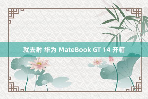 就去射 华为 MateBook GT 14 开箱