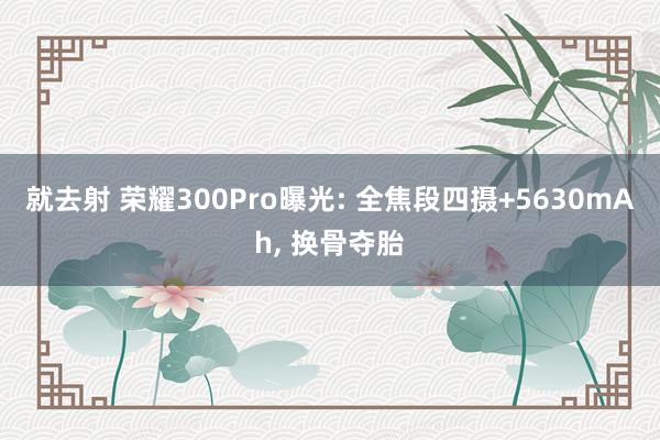就去射 荣耀300Pro曝光: 全焦段四摄+5630mAh, 换骨夺胎