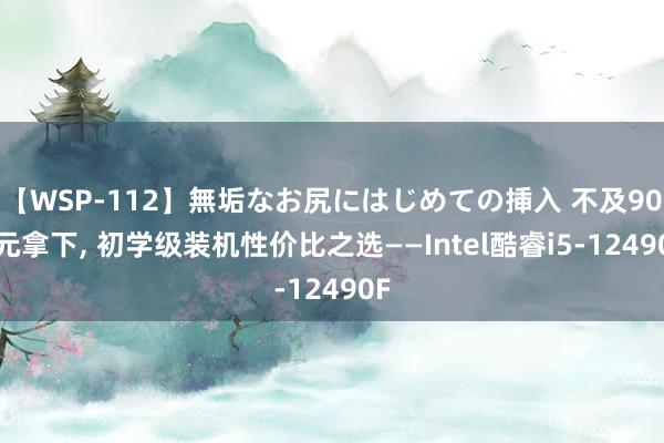 【WSP-112】無垢なお尻にはじめての挿入 不及900元拿下, 初学级装机性价比之选——Intel酷睿i5-12490F