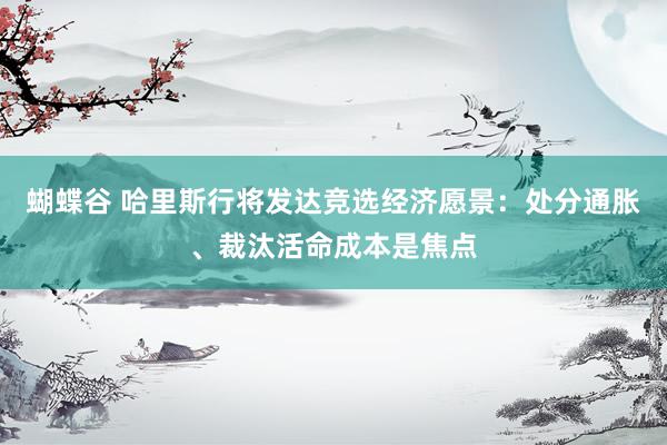 蝴蝶谷 哈里斯行将发达竞选经济愿景：处分通胀、裁汰活命成本是焦点