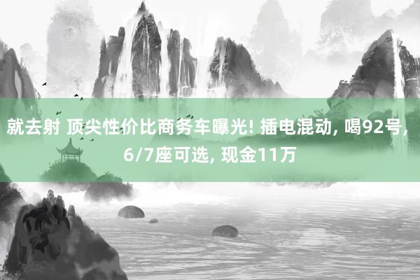 就去射 顶尖性价比商务车曝光! 插电混动, 喝92号, 6/7座可选, 现金11万