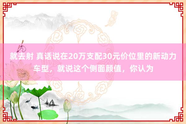 就去射 真话说在20万支配30元价位里的新动力车型，就说这个侧面颜值，你认为