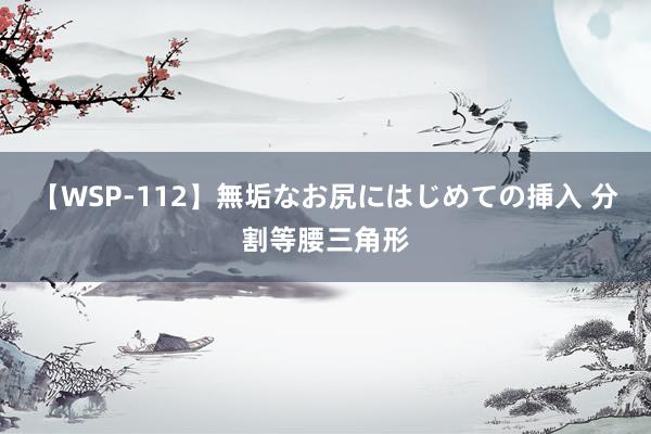 【WSP-112】無垢なお尻にはじめての挿入 分割等腰三角形