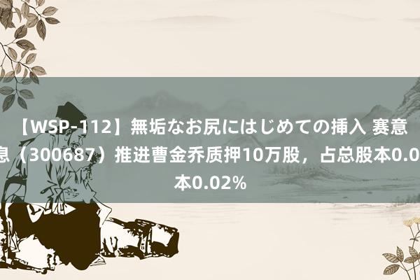 【WSP-112】無垢なお尻にはじめての挿入 赛意信息（300687）推进曹金乔质押10万股，占总股本0.02%