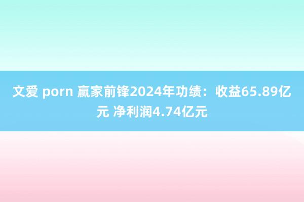文爱 porn 赢家前锋2024年功绩：收益65.89亿元 净利润4.74亿元