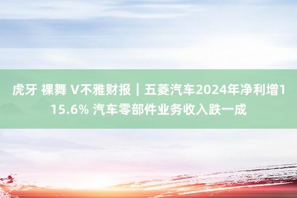 虎牙 裸舞 V不雅财报｜五菱汽车2024年净利增115.6% 汽车零部件业务收入跌一成