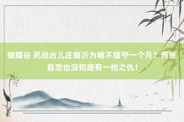 蝴蝶谷 死战台儿庄临沂为啥不错守一个月？而张自忠也没和庞有一枪之仇！