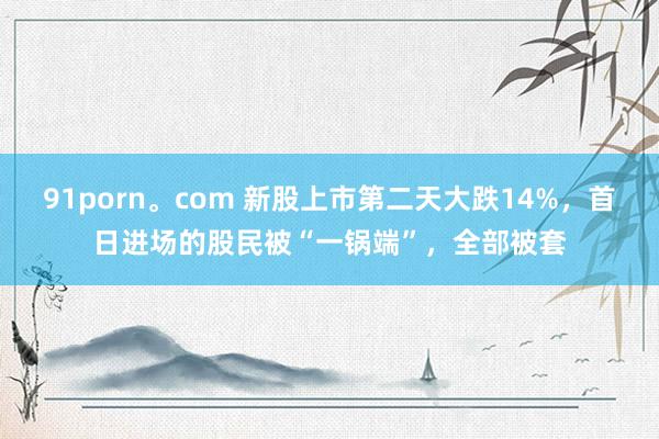 91porn。com 新股上市第二天大跌14%，首日进场的股民被“一锅端”，全部被套