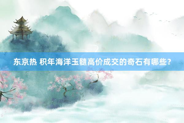 东京热 积年海洋玉髓高价成交的奇石有哪些？